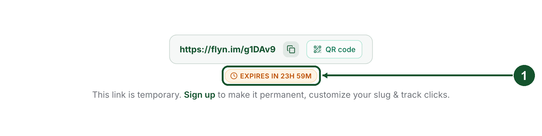 A link created from the homepage without an account, with its expiry countdown pill (1)