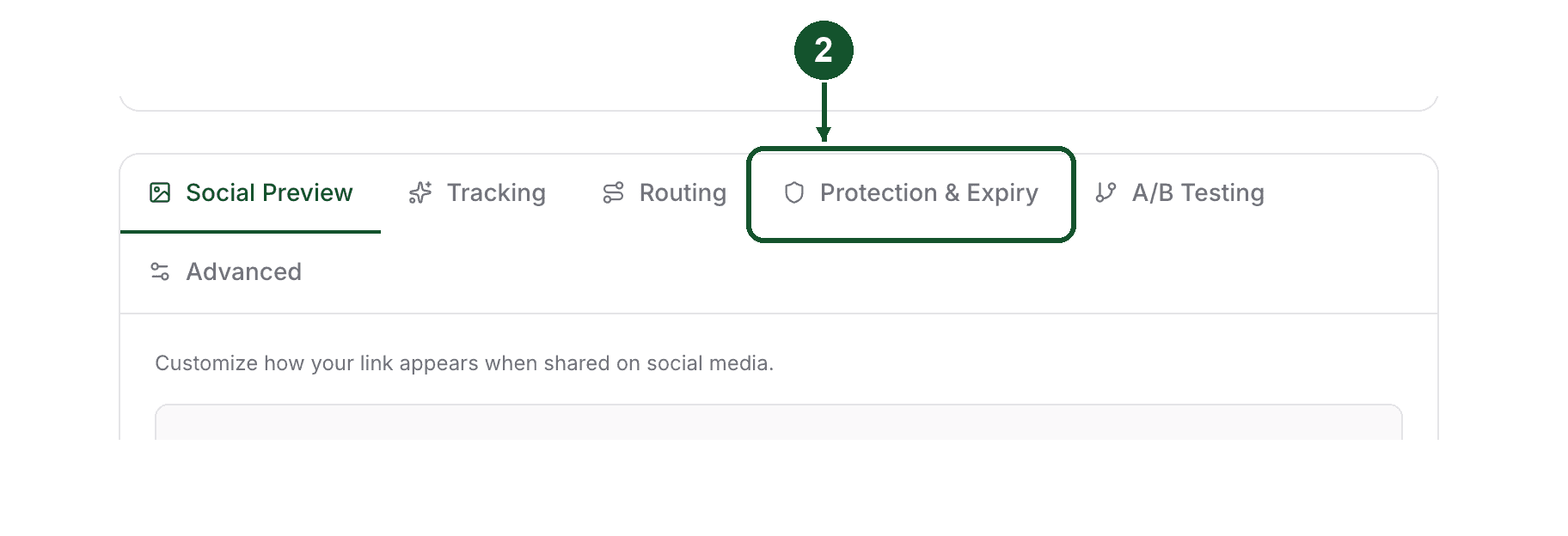 Step 2: the tab bar on the create-link form with the Protection tab highlighted