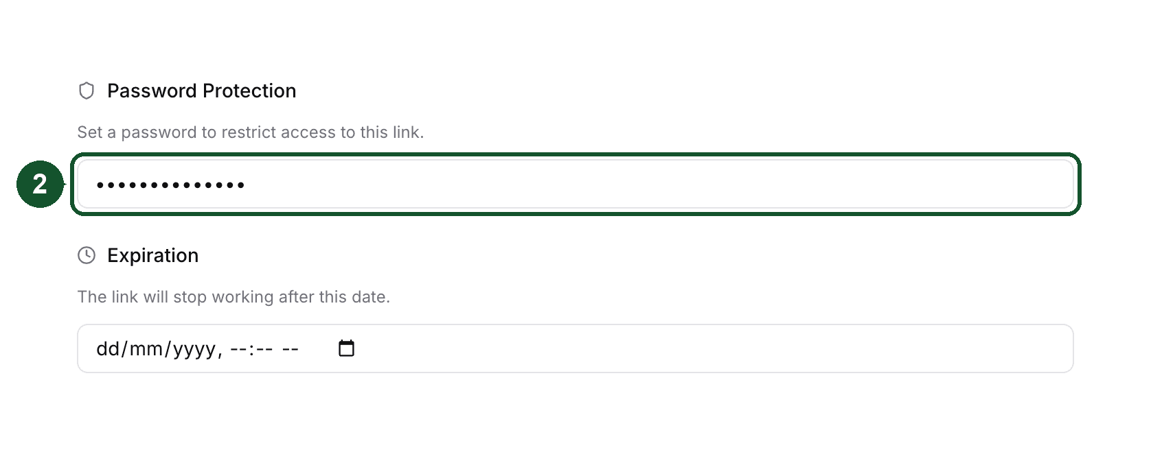 Step 2: the Protection tab with the password field highlighted