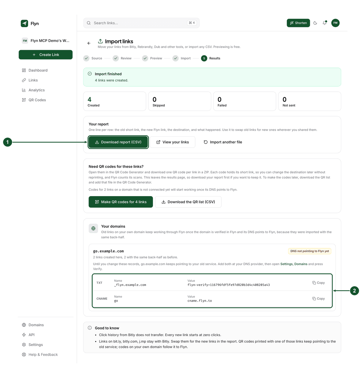 The Results step: Download report (CSV) (1) and the DNS records for your own domain (2)