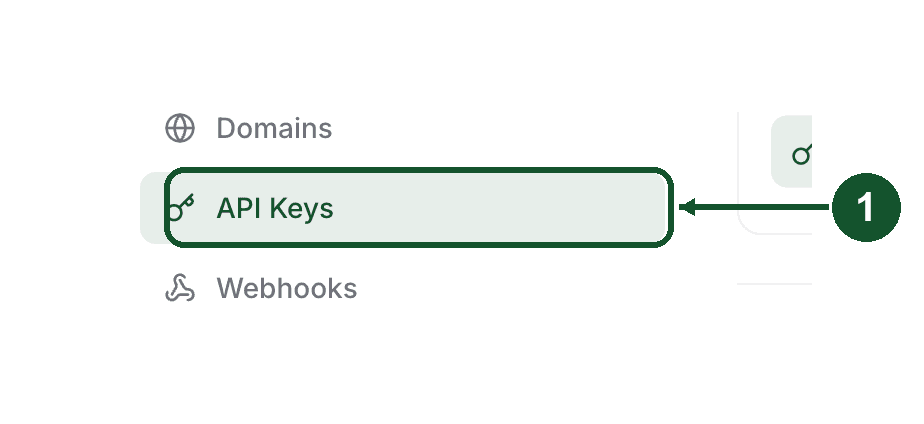 Step 1 close up: API Keys sits between Domains and Webhooks