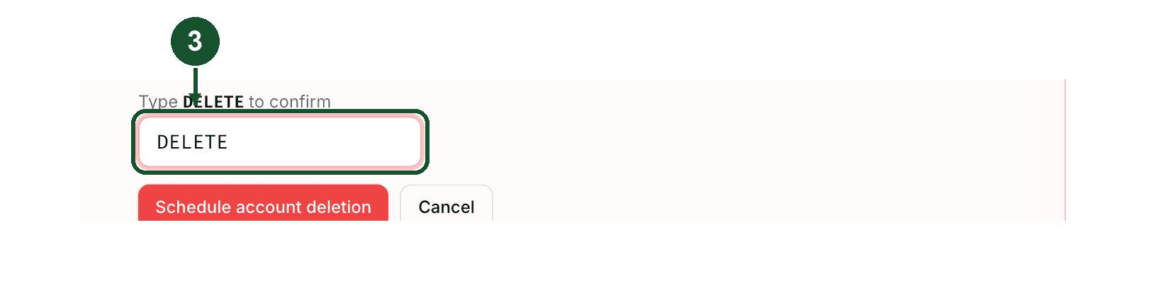 Step 3: DELETE typed into the confirmation box